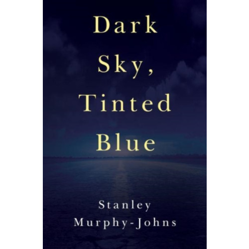 Pegasus Elliot Mackenzie Publishers Dark Sky, Tinted Blue (häftad, eng)