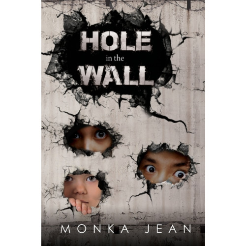 Pegasus Elliot Mackenzie Publishers HOLE IN THE WALL (häftad, eng)