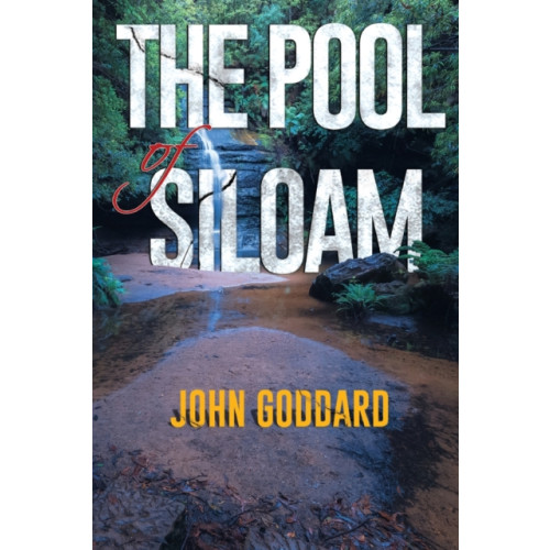 Pegasus Elliot Mackenzie Publishers The Pool of Siloam (häftad, eng)