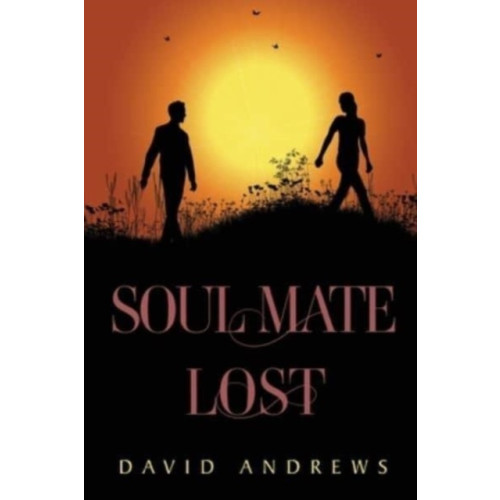 Pegasus Elliot Mackenzie Publishers Soul Mate Lost (häftad, eng)