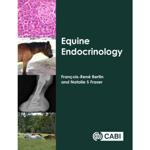 CABI Publishing Equine Endocrinology (häftad, eng)