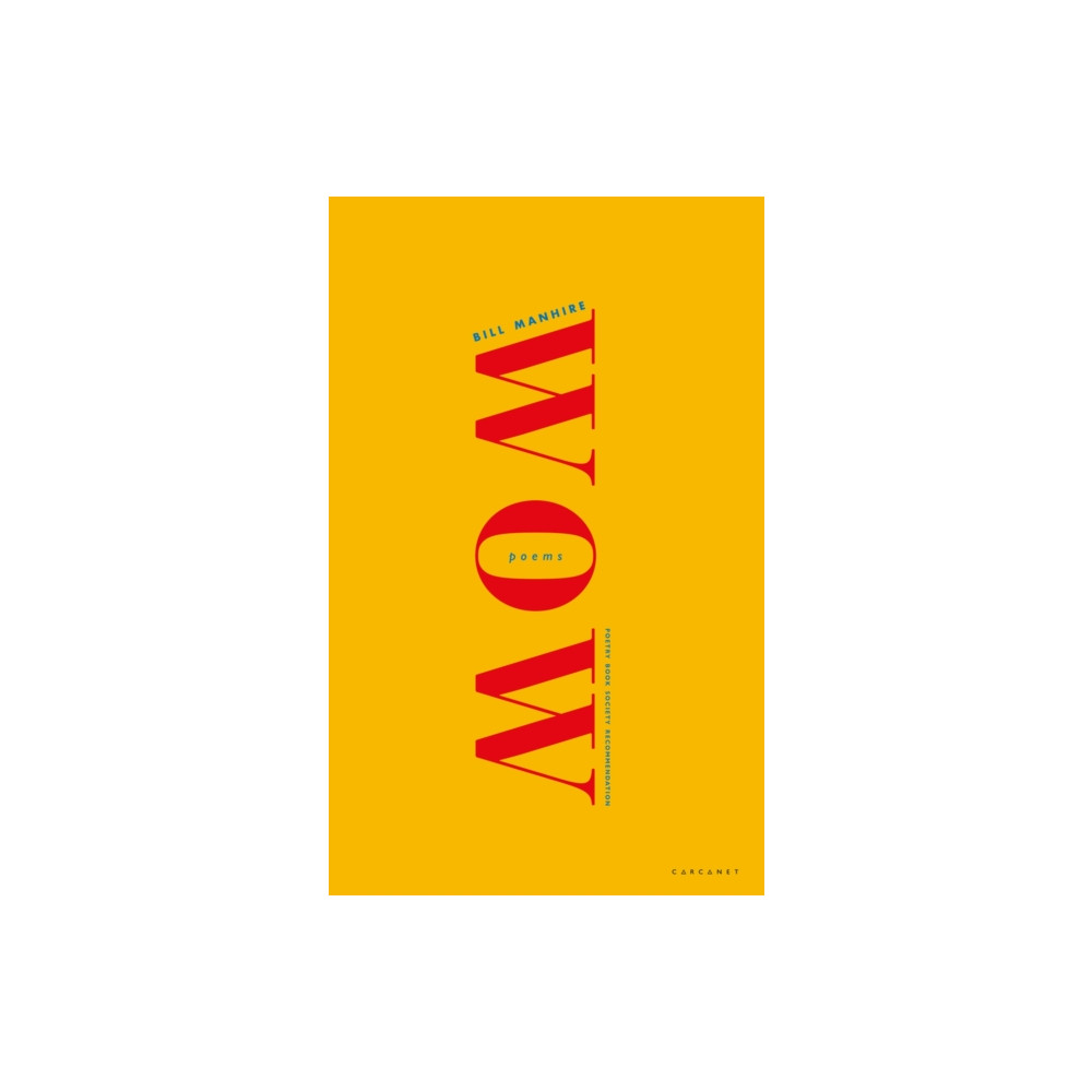 Produktbild för Wow (häftad, eng)