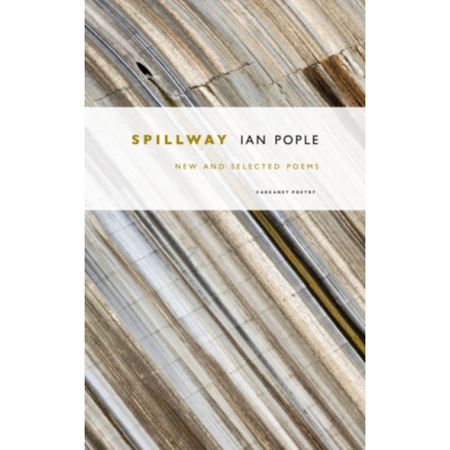 Carcanet Press Ltd Spillway (häftad, eng)