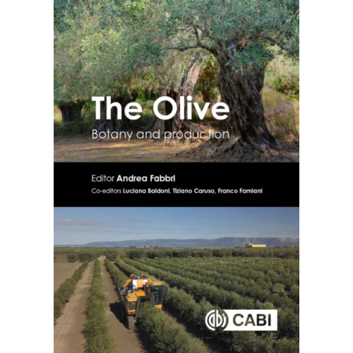 CABI Publishing The Olive (inbunden, eng)