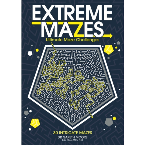 Michael O'Mara Extreme Mazes (häftad, eng)