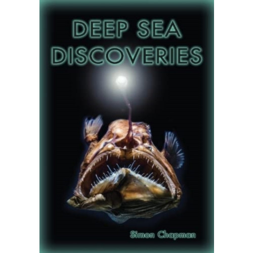 Badger Publishing Deep Sea Discoveries (häftad, eng)