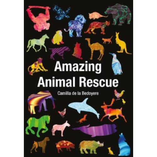 Badger Publishing Amazing Animal Rescue (häftad, eng)