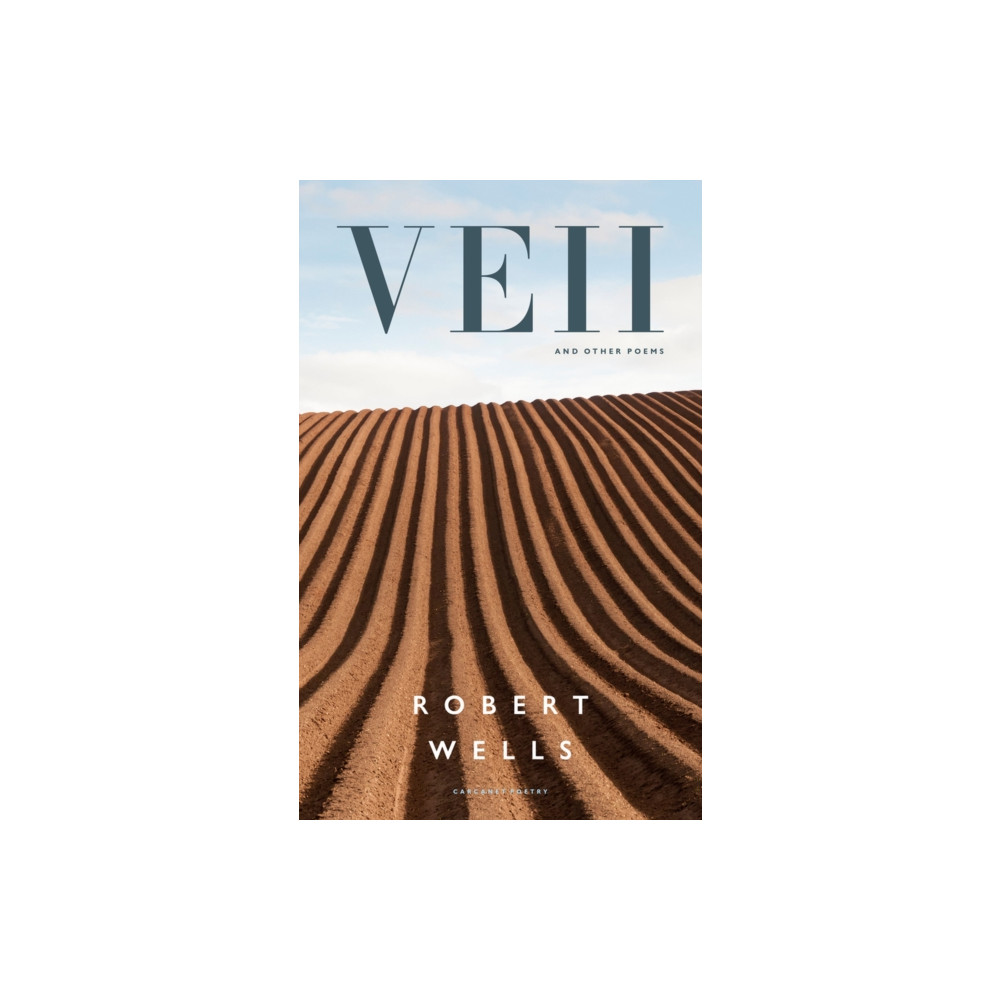 Produktbild för Veii and other poems (häftad, eng)