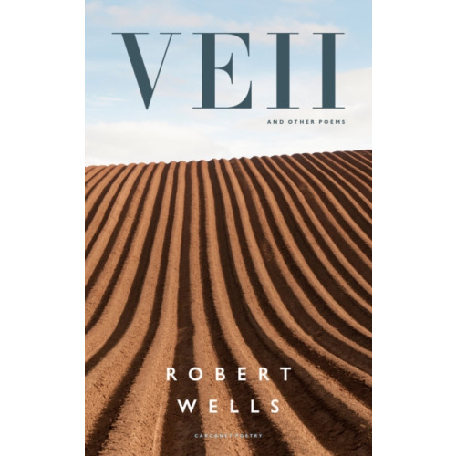 Carcanet Press Ltd Veii and other poems (häftad, eng)