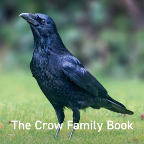 Graffeg Limited Crow Family Book, The (inbunden, eng)