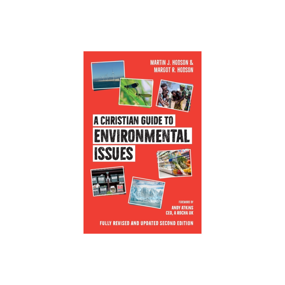 Produktbild för A Christian Guide to Environmental Issues (häftad, eng)