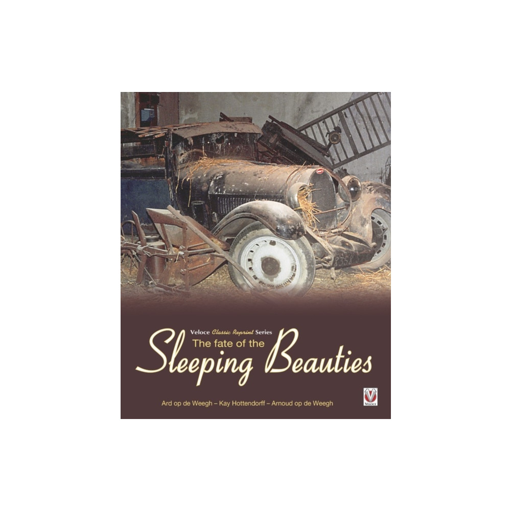 Produktbild för The Fate of the Sleeping Beauties (häftad, eng)