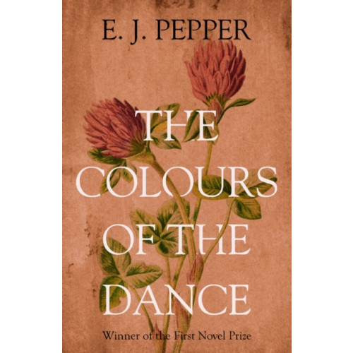 Troubador Publishing The Colours of the Dance (häftad, eng)