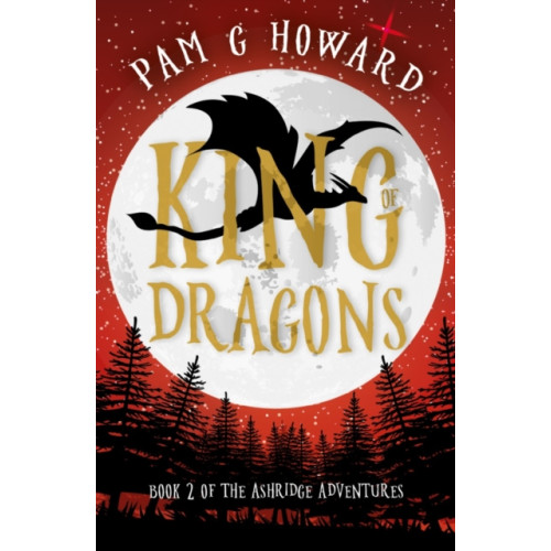 Troubador Publishing King of Dragons (häftad, eng)