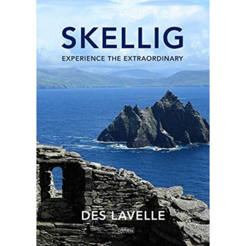 O'Brien Press Ltd Skellig (häftad, eng)