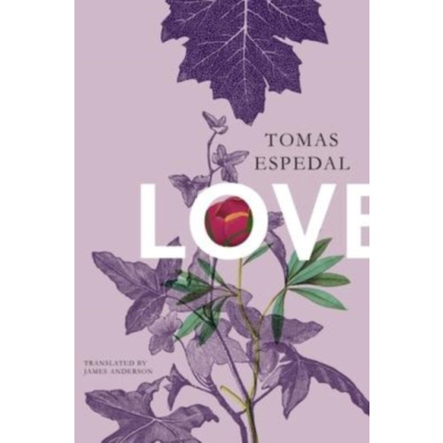 Seagull Books London Ltd Love (inbunden, eng)