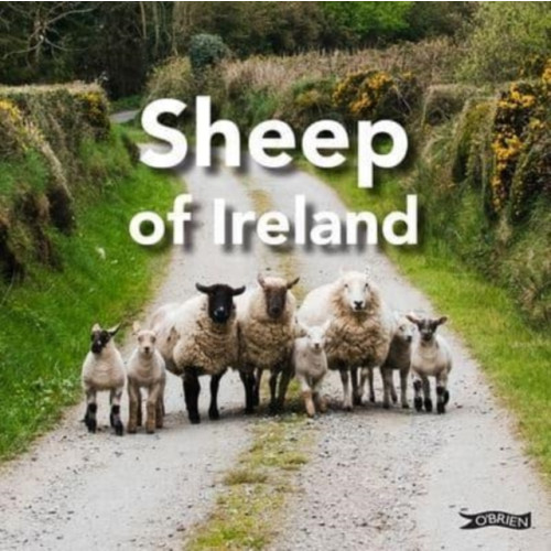 O'Brien Press Ltd Sheep of Ireland (inbunden, eng)