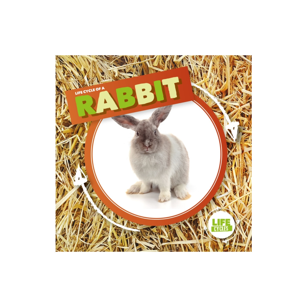 Produktbild för Rabbit (inbunden, eng)