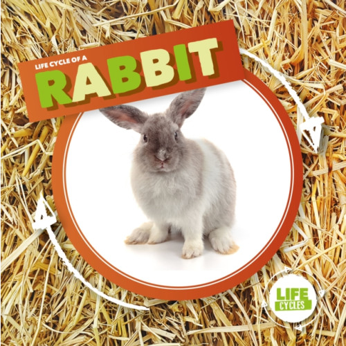 BookLife Publishing Rabbit (inbunden, eng)