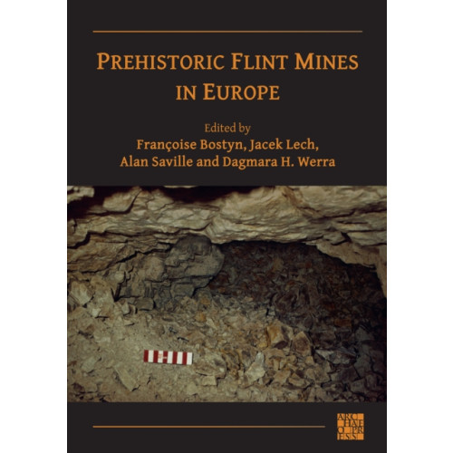 Archaeopress Prehistoric Flint Mines in Europe (häftad, eng)