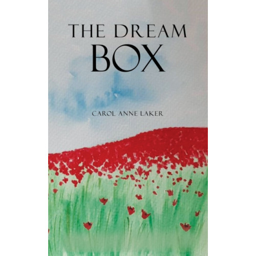 Austin Macauley Publishers The Dream Box (häftad, eng)