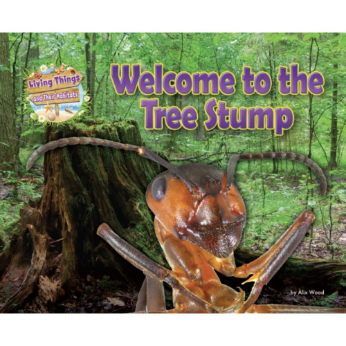 Ruby Tuesday Books Ltd Welcome to the Tree Stump (häftad, eng)