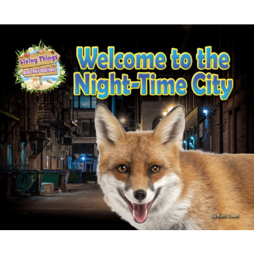 Ruby Tuesday Books Ltd Welcome to the Night-Time City (häftad, eng)