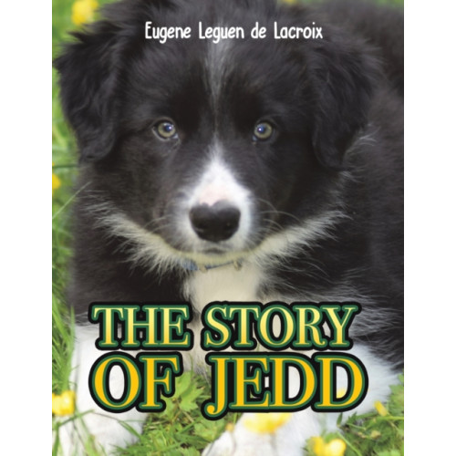 Austin Macauley Publishers The Story of Jedd (häftad, eng)