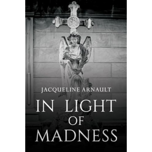 Olympia Publishers In Light of Madness (häftad, eng)