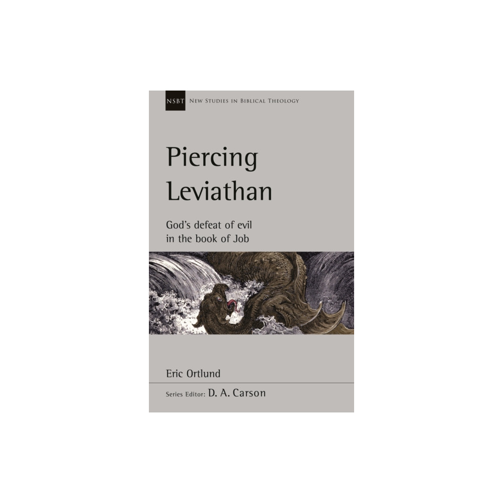 Produktbild för Piercing Leviathan (häftad, eng)