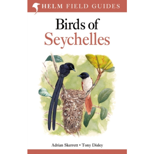 Bloomsbury Publishing PLC Field Guide to Birds of Seychelles (häftad, eng)