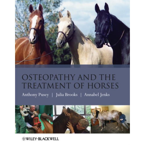 John Wiley And Sons Ltd Osteopathy and the Treatment of Horses (häftad, eng)