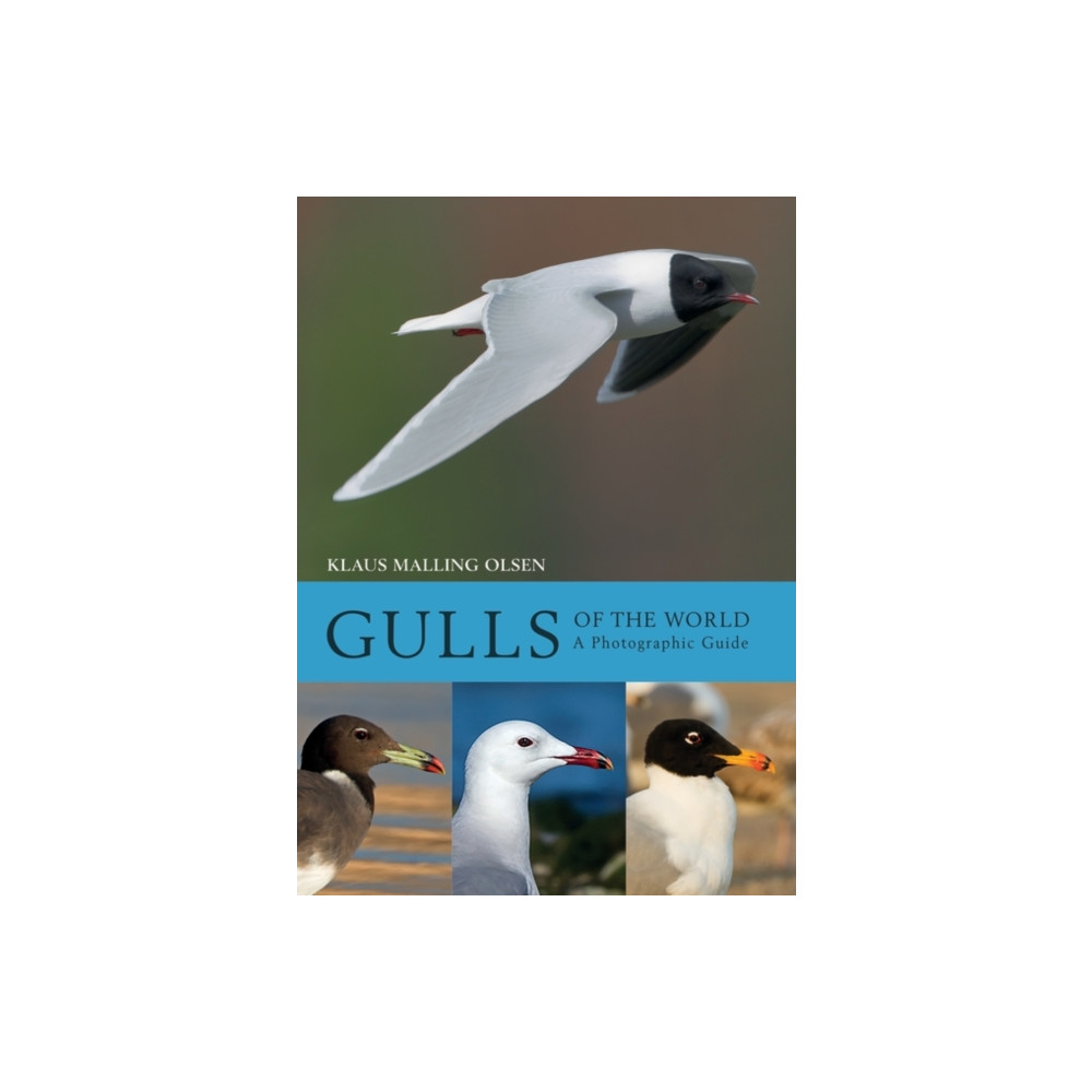 Produktbild för Gulls of the World (inbunden, eng)