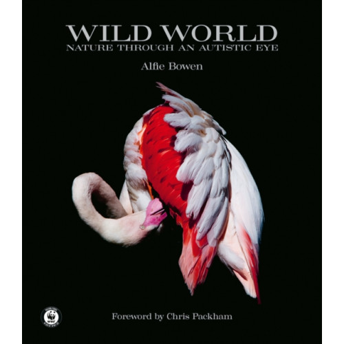 ACC Art Books Wild World (inbunden, eng)