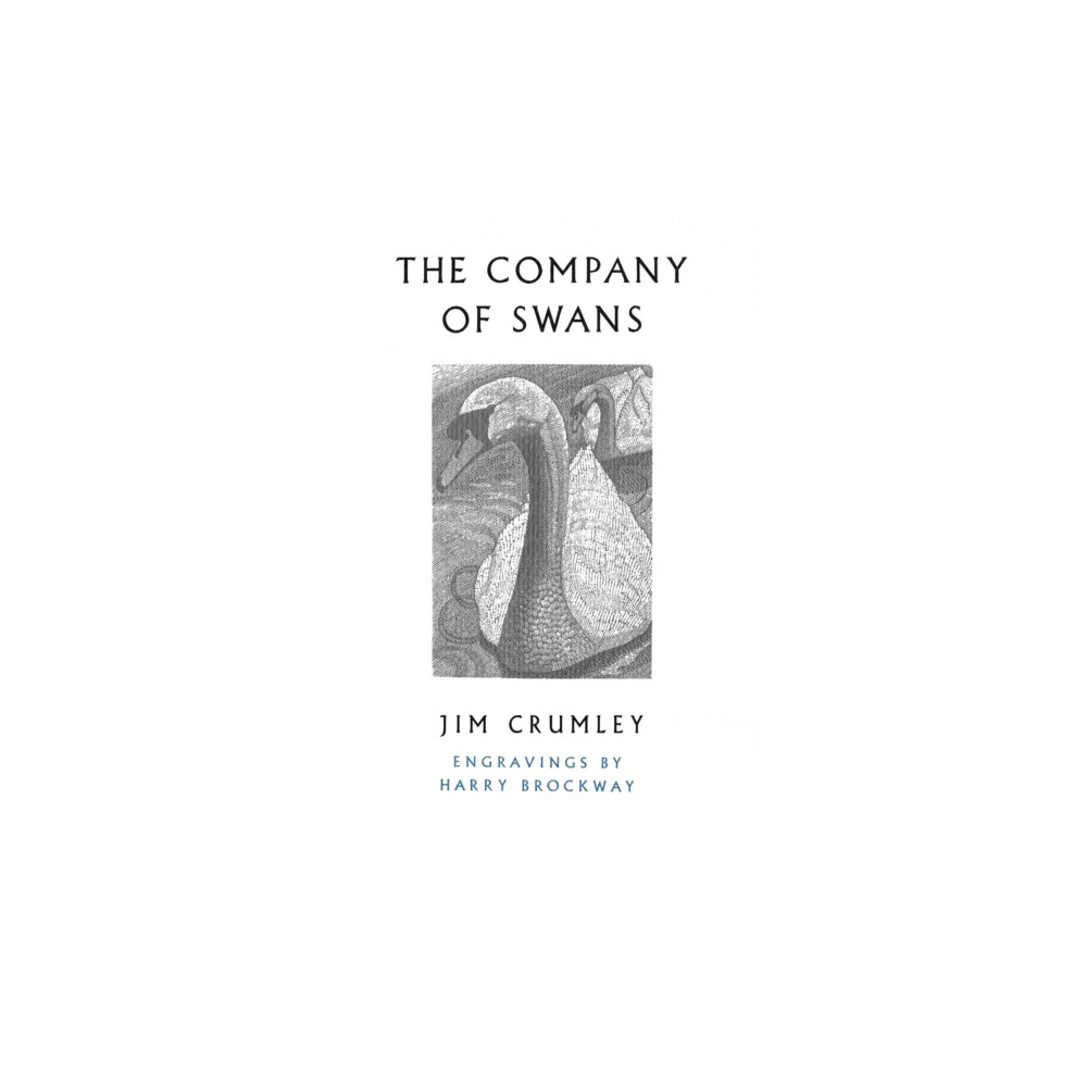Produktbild för The Company of Swans (häftad, eng)