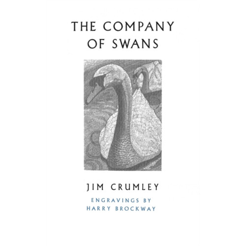 Vintage Publishing The Company of Swans (häftad, eng)