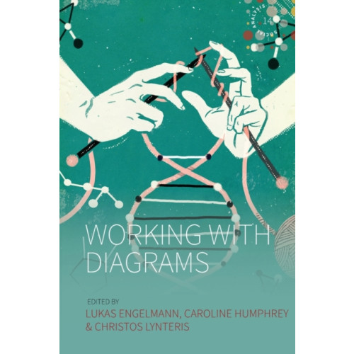 Berghahn Books Working With Diagrams (häftad, eng)