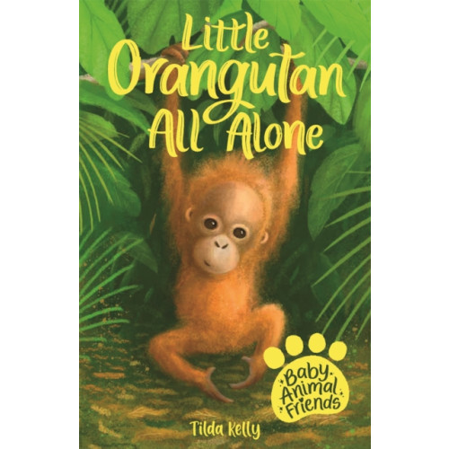 Hachette Children's Group Baby Animal Friends: Little Orangutan All Alone (häftad, eng)