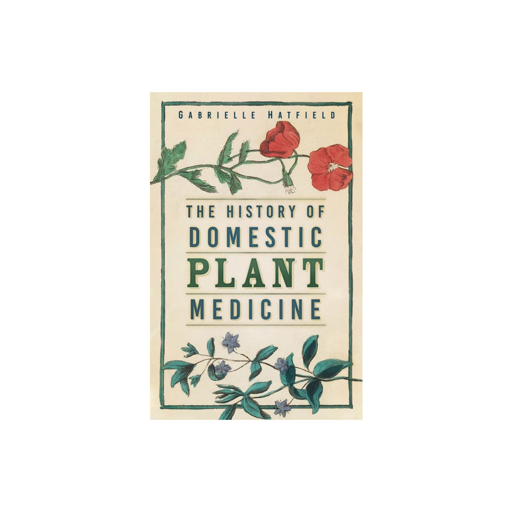 Produktbild för The History of Domestic Plant Medicine (häftad, eng)