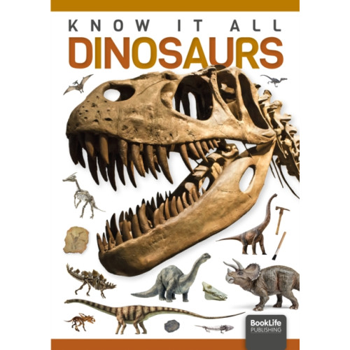 BookLife Publishing Dinosaurs (inbunden, eng)