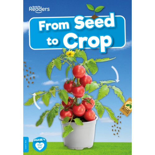 BookLife Publishing From Seed to Crop (häftad, eng)