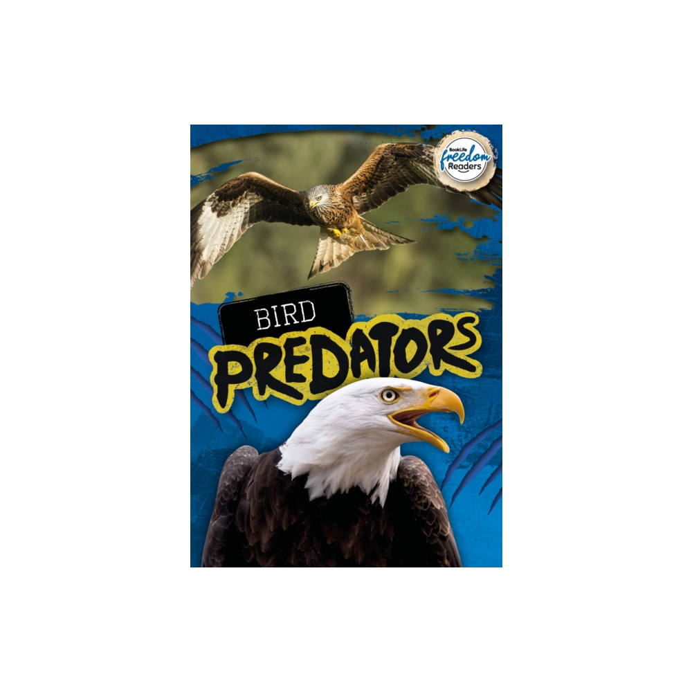 Produktbild för Bird Predators (häftad, eng)