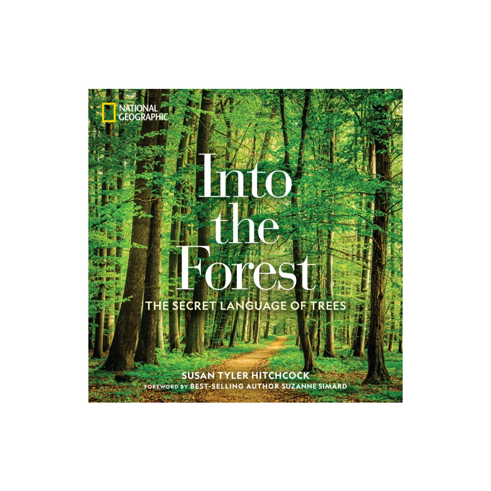 Produktbild för Into the Forest (inbunden, eng)