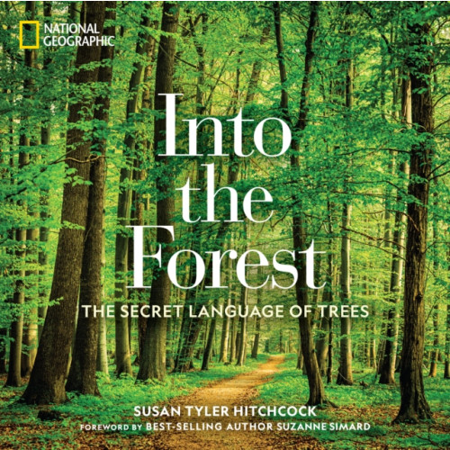 NATIONAL GEOGRAPHIC SOCIETY Into the Forest (inbunden, eng)