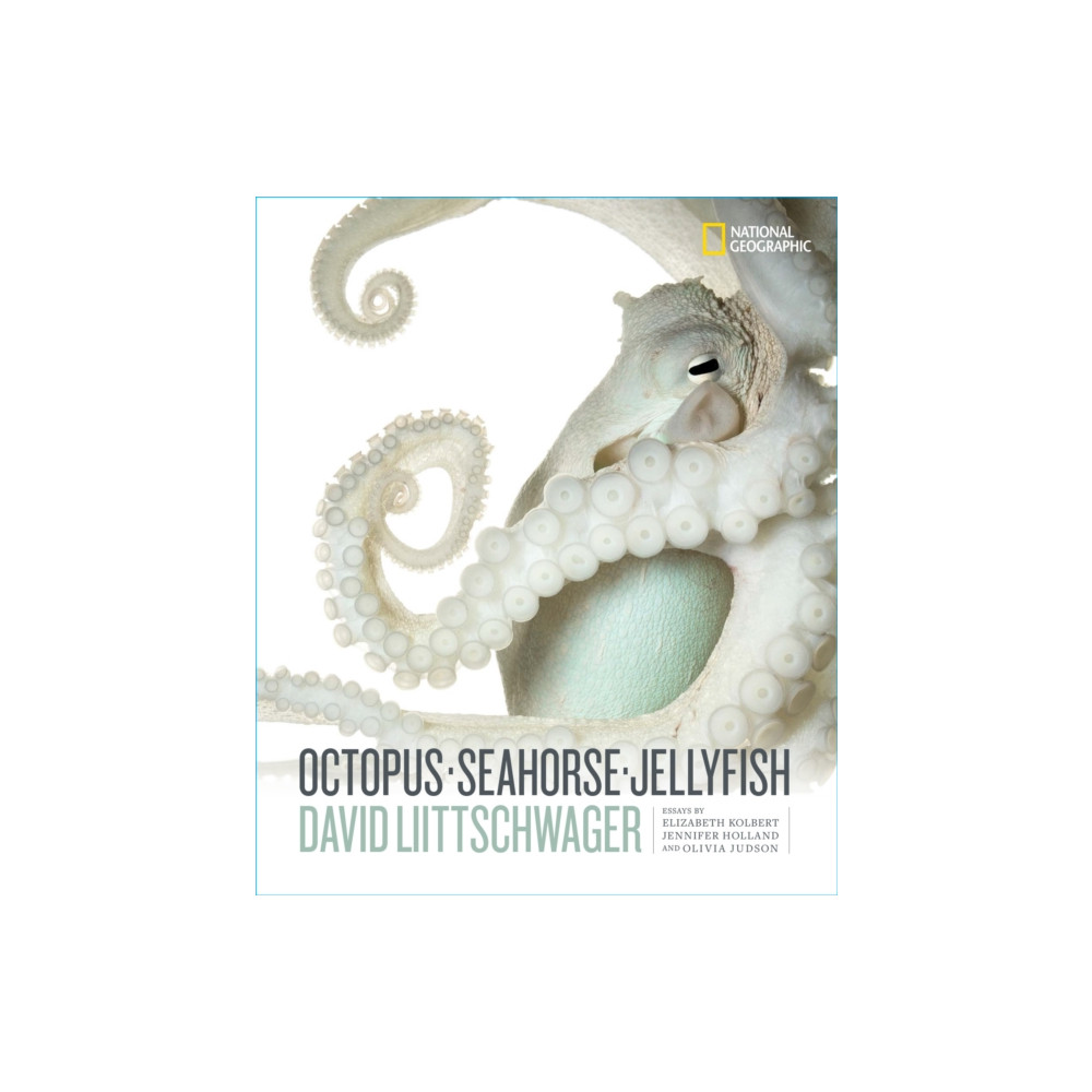 Produktbild för Octopus, Seahorse, Jellyfish (inbunden, eng)