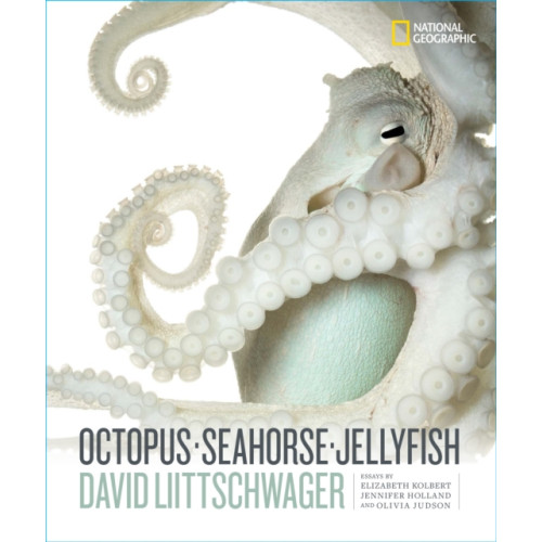 NATIONAL GEOGRAPHIC SOCIETY Octopus, Seahorse, Jellyfish (inbunden, eng)