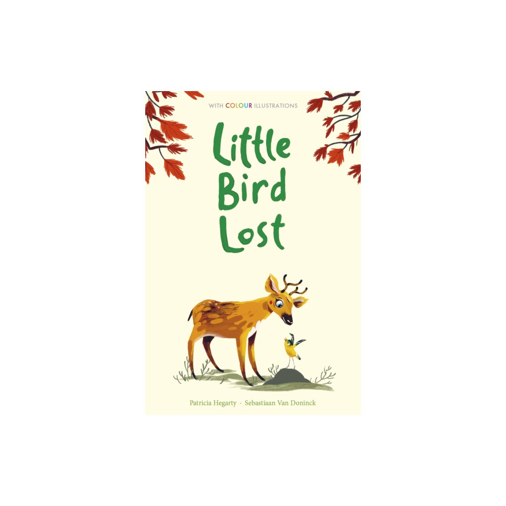Produktbild för Little Bird Lost (inbunden, eng)
