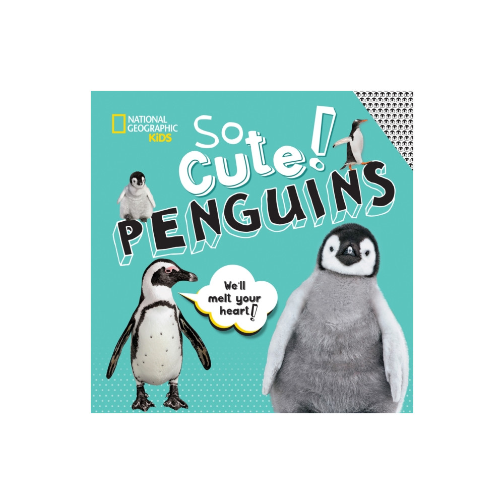 Produktbild för So Cute: Penguins (inbunden, eng)