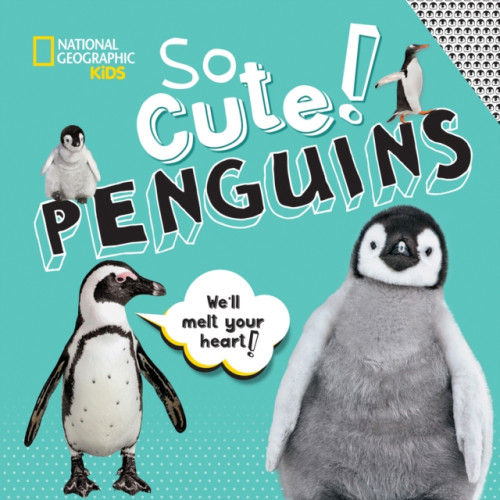 National Geographic Kids So Cute: Penguins (inbunden, eng)