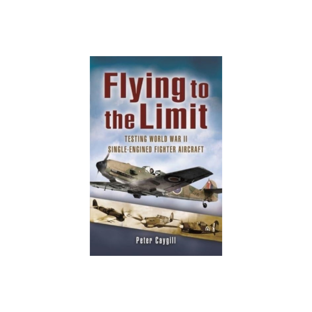 Produktbild för Flying to the Limit (häftad, eng)